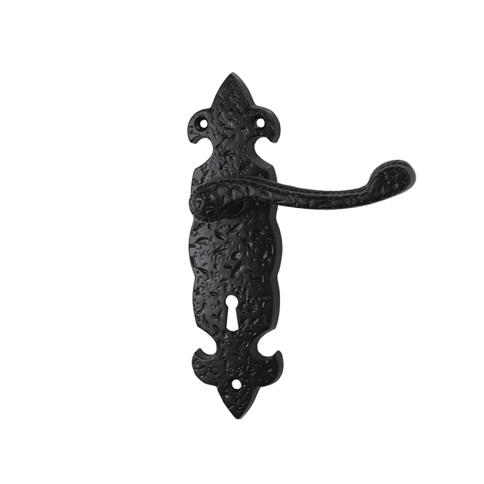 Basta Fortress On Plate Door Handle Black