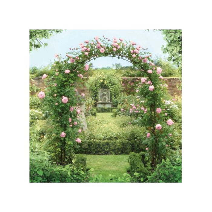 Blossom Classic Garden Arch